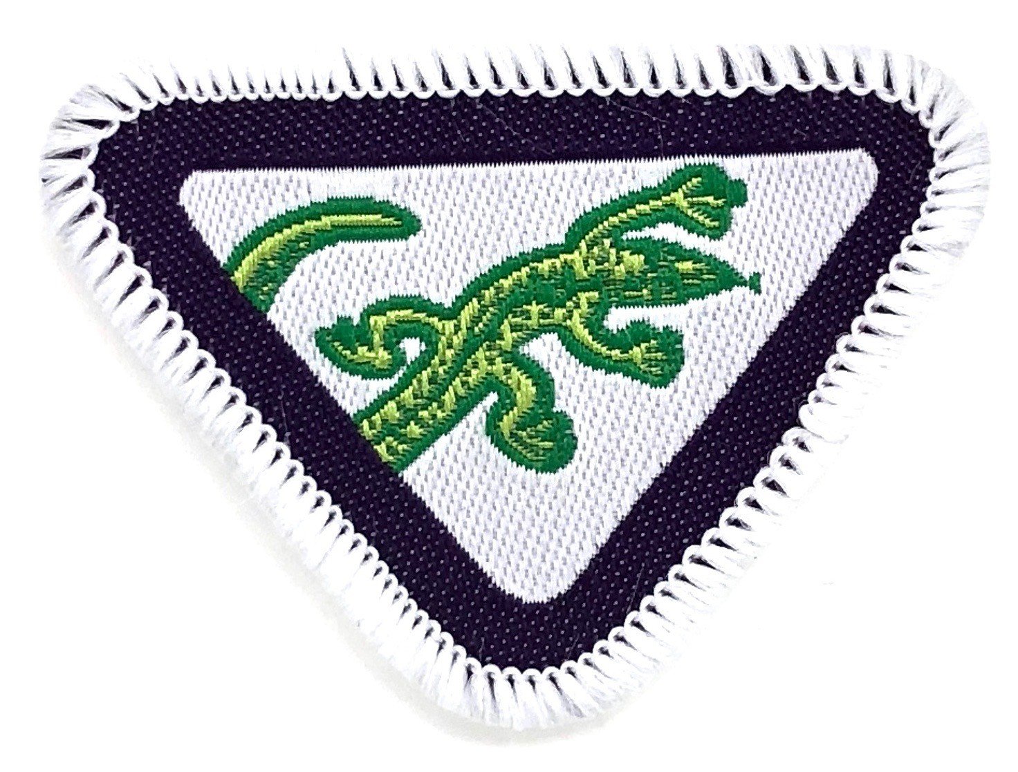 도마뱀
