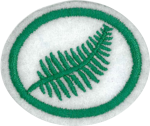 양치식물