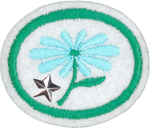 화초(고급)